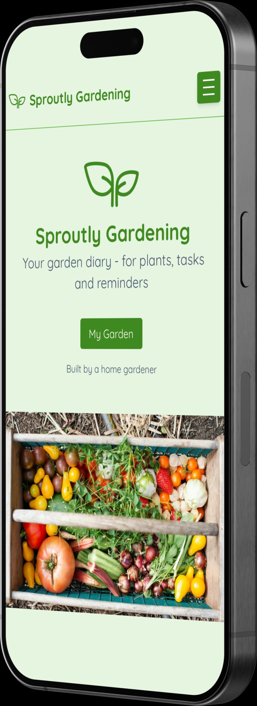 Responsive custom website mockup displayed on MacBook and iPhone devices